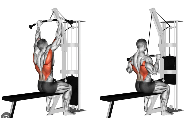 Como desenvolver uma musculatura dorsal poderosa e equilibrada, enquanto exploramos técnicas e exercícios eficazes para o treino de costas